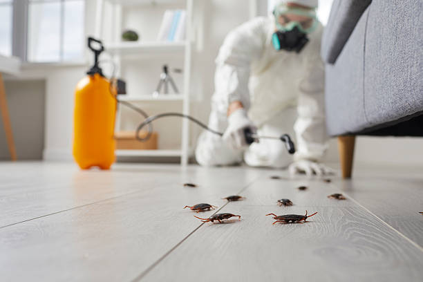 Commercial Kitchen Cockroach Control in Del Mar